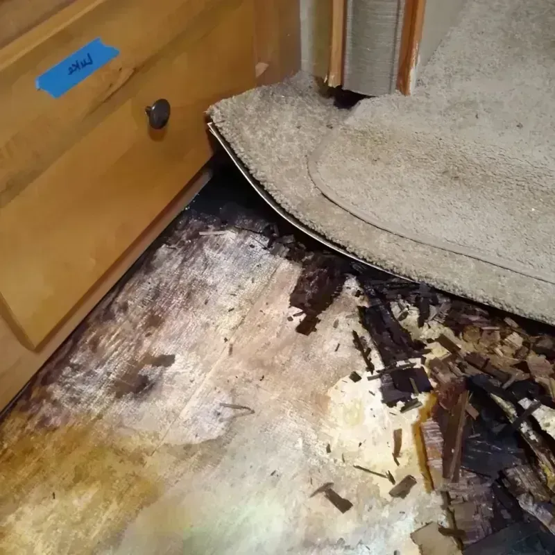 Wood Floor Water Damage in Jessup, MD